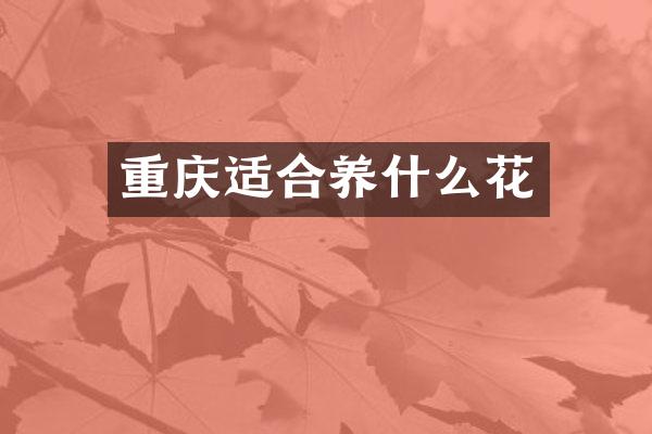 重庆适合养什么花