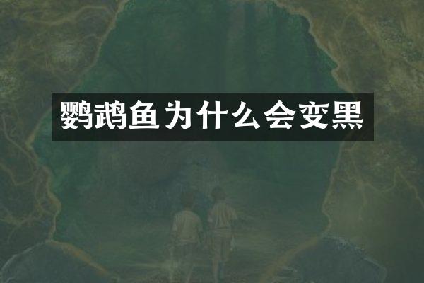 鹦鹉鱼为什么会变黑
