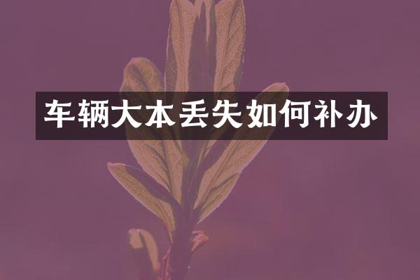 车辆大本丢失如何补办