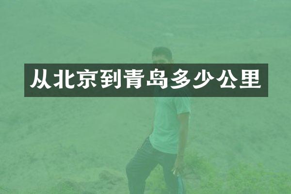 从北京到青岛多少公里