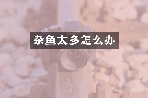 杂鱼太多怎么办