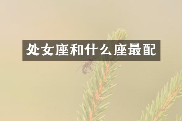 处女座和什么座最配