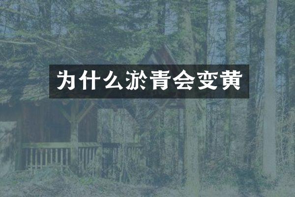 为什么淤青会变黄