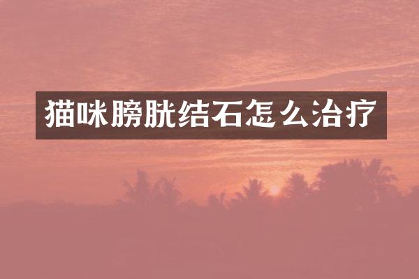 猫咪膀胱结石怎么治疗