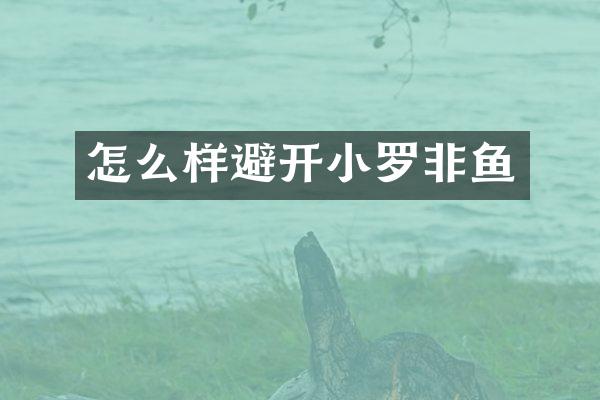 怎么样避开小罗非鱼