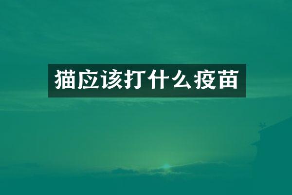 猫应该打什么疫苗