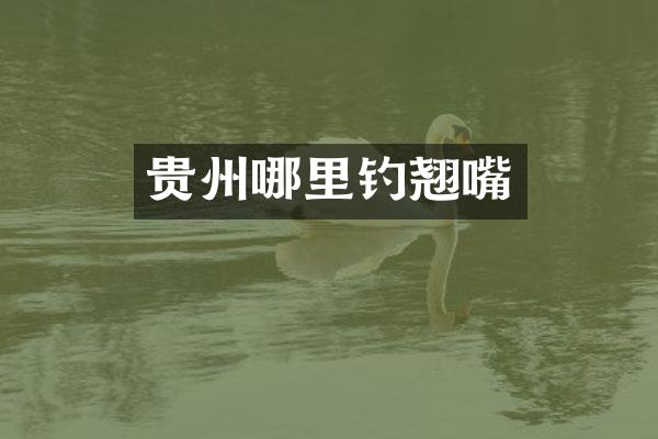 贵州哪里钓翘嘴