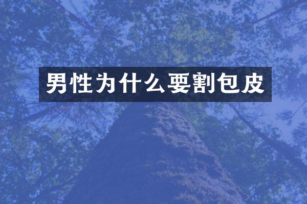 男性为什么要割包皮