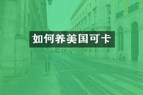 如何养美国可卡