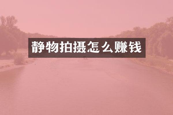 静物拍摄怎么赚钱