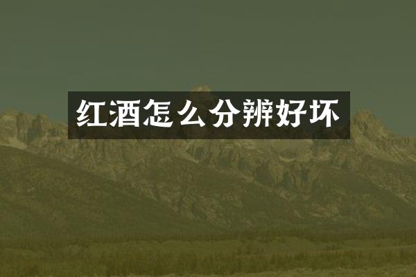 红酒怎么分辨好坏