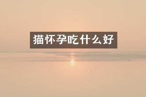 猫怀孕吃什么好