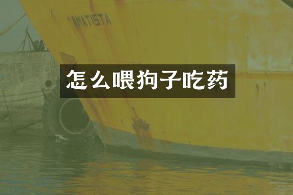 怎么喂狗子吃药