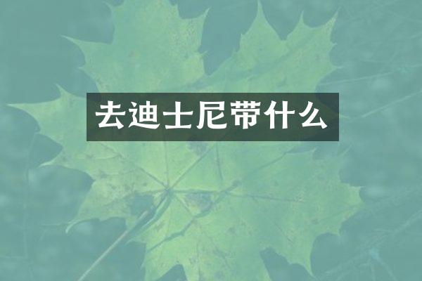 去迪士尼带什么