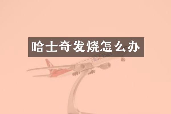 哈士奇发烧怎么办