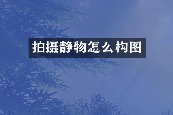 拍摄静物怎么构图