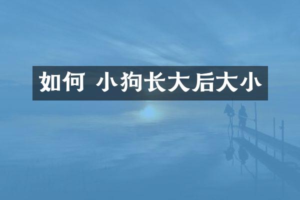 如何 小狗长大后大小