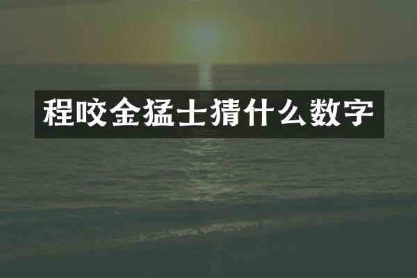 程咬金猛士猜什么数字