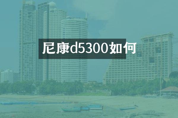 尼康d5300如何