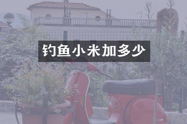 钓鱼小米加多少