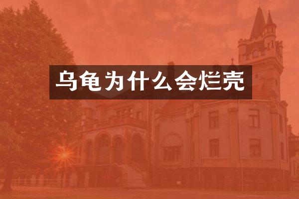 乌龟为什么会烂壳