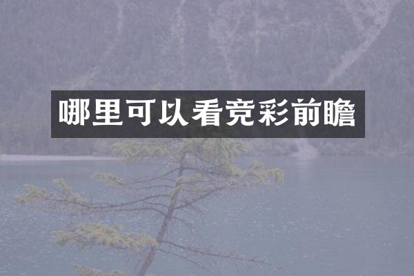 哪里可以看竞彩前瞻