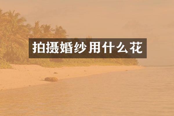 拍摄婚纱用什么花