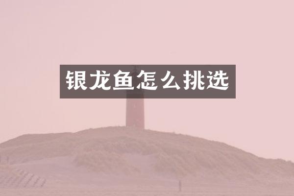 银龙鱼怎么挑选