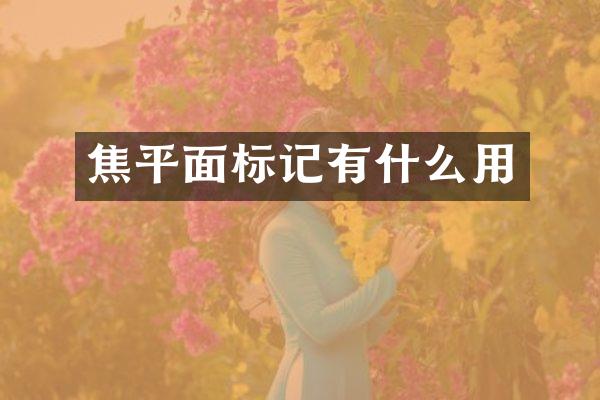 焦平面标记有什么用