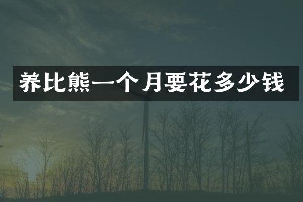 养比熊一个月要花多少钱