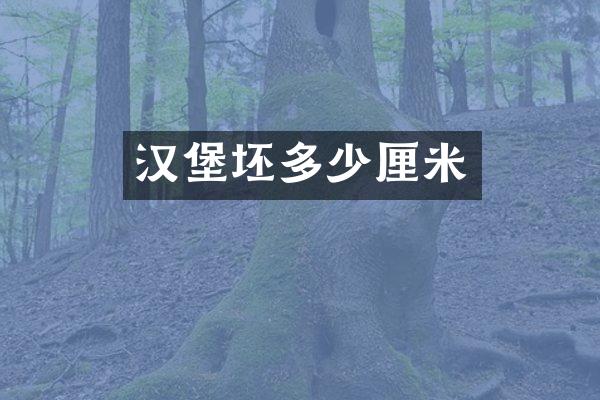 汉堡坯多少厘米