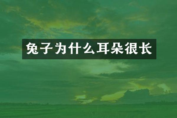 兔子为什么耳朵很长