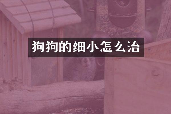 狗狗的细小怎么治