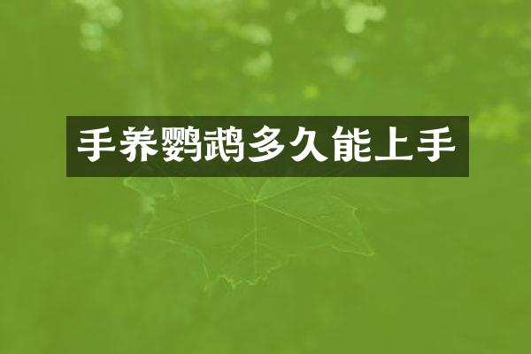 手养鹦鹉多久能上手