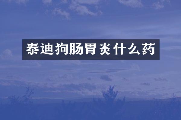 泰迪狗肠胃炎什么药