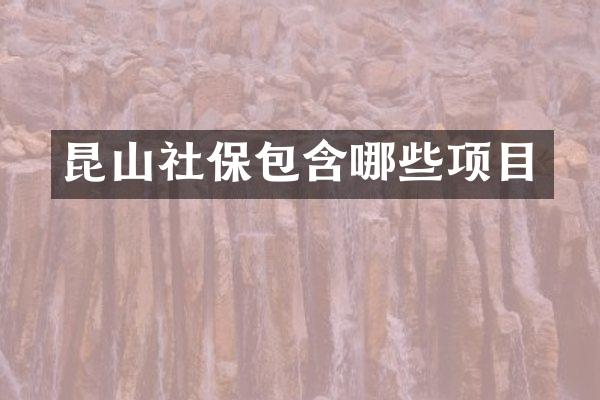 昆山社保包含哪些项目