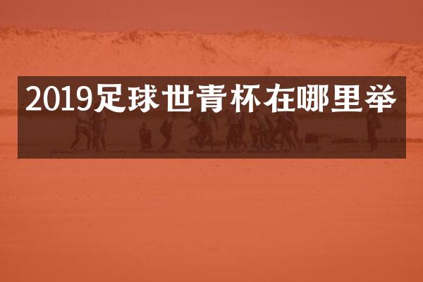 2019足球世青杯在哪里举办