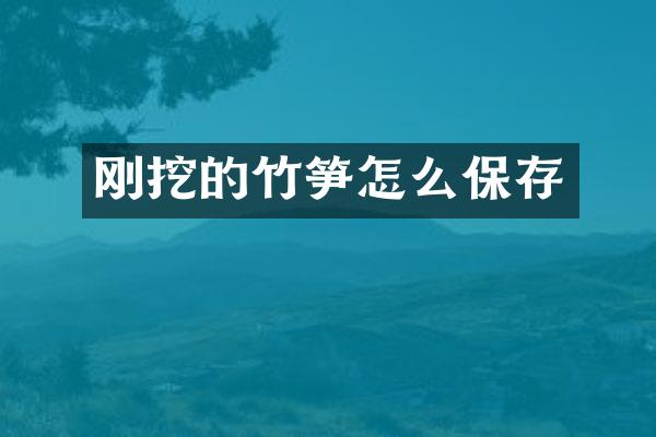 刚挖的竹笋怎么保存