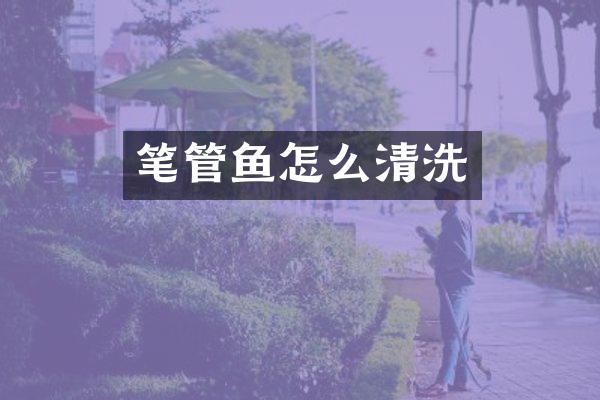 笔管鱼怎么清洗