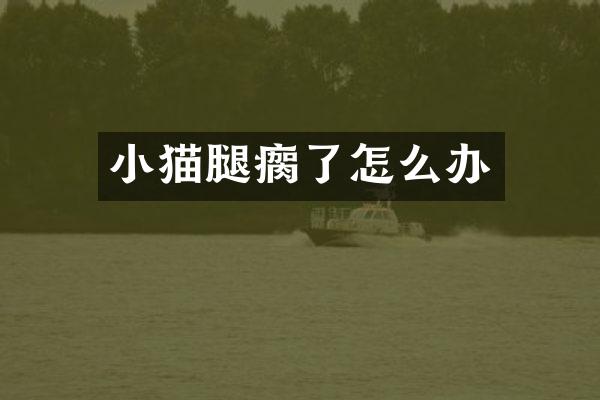 小猫腿瘸了怎么办