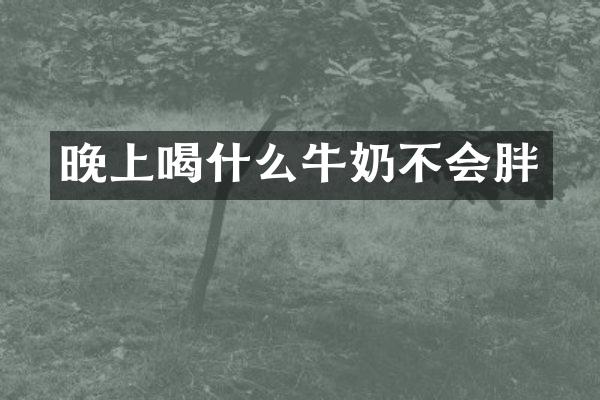 晚上喝什么牛奶不会胖