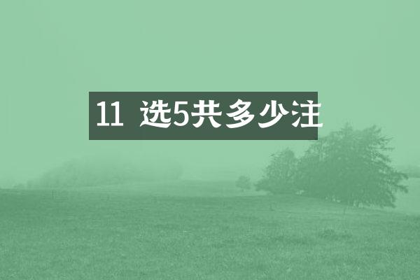 11 选5共多少注