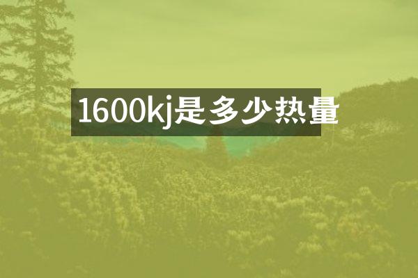 1600kj是多少热量