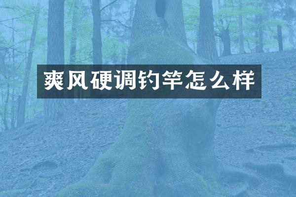 爽风硬调钓竿怎么样