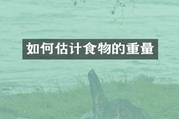 如何估计食物的重量