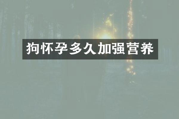 狗怀孕多久加强营养