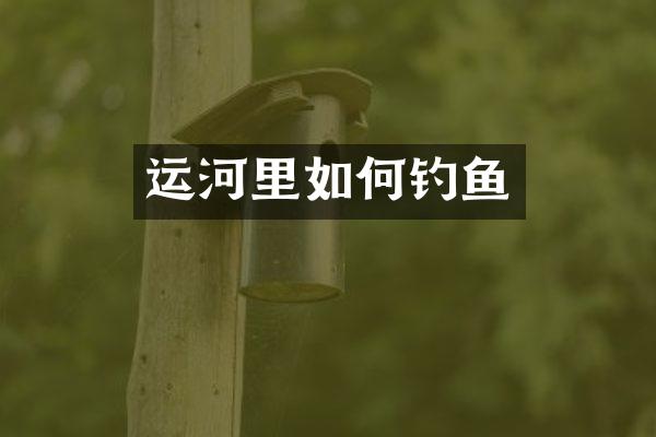 运河里如何钓鱼