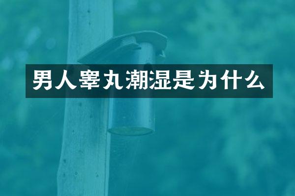 男人睾丸潮湿是为什么
