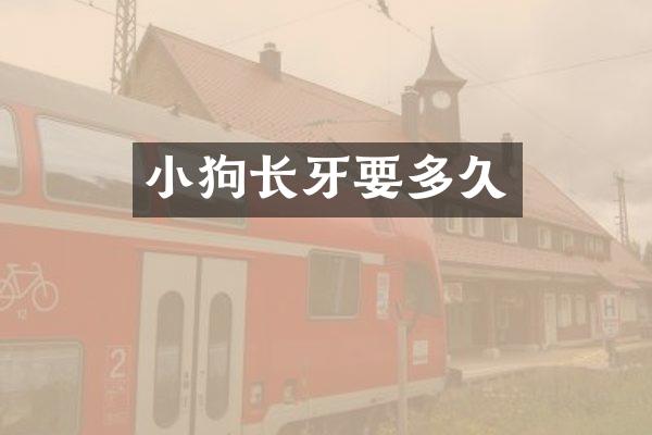 小狗长牙要多久
