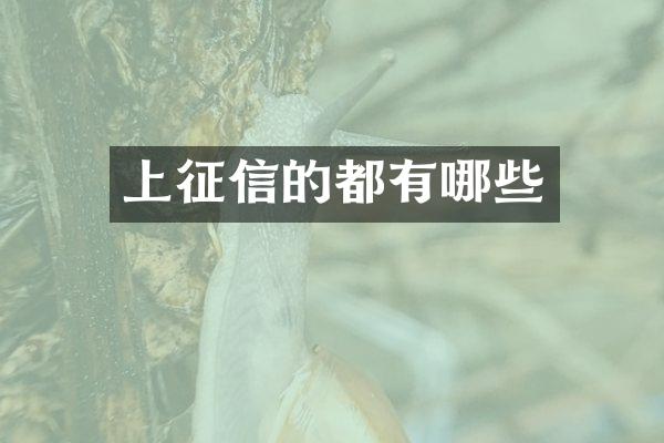 上征信的都有哪些